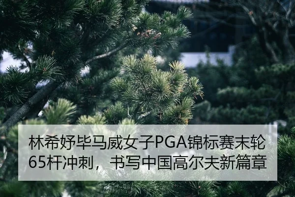 lin-xi-yu-bi-ma-wei-nv-zi-jin-biao-sai-mo-lun-gan-chong-ci-shu-xie-zhong-guo-gao-er-fu-xin-pian-zhang-2-577.jpg