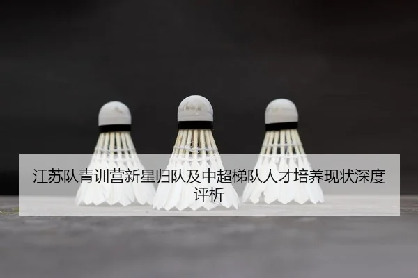jiang-su-dui-qing-xun-ying-xin-xing-gui-dui-ji-zhong-chao-ti-dui-ren-cai-pei-yang-xian-zhuang-shen-du-ping-xi-1-620.jpg